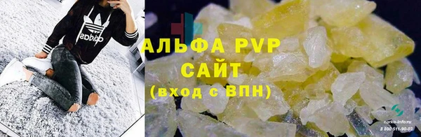 ГАЛЛЮЦИНОГЕННЫЕ ГРИБЫ Покачи