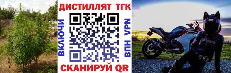 купить цена Заволжье ТГК концентрат