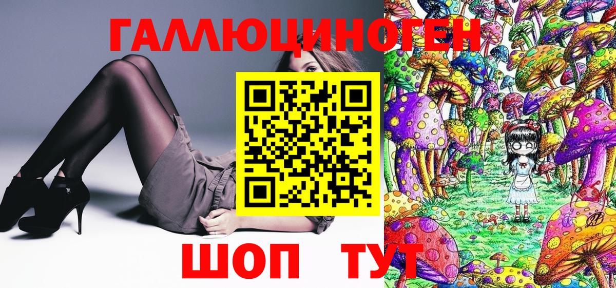 Заволжье  Галлюциногенные грибы Psilocybe  Вход с VPN  Псилоцибиновые грибы мицелий 