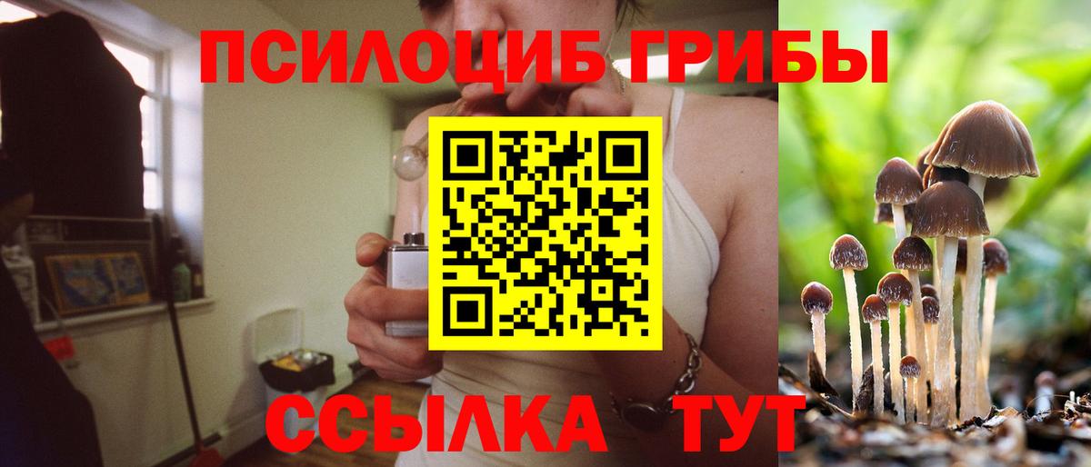 Псилоцибиновые грибы Psilocybe Заволжье